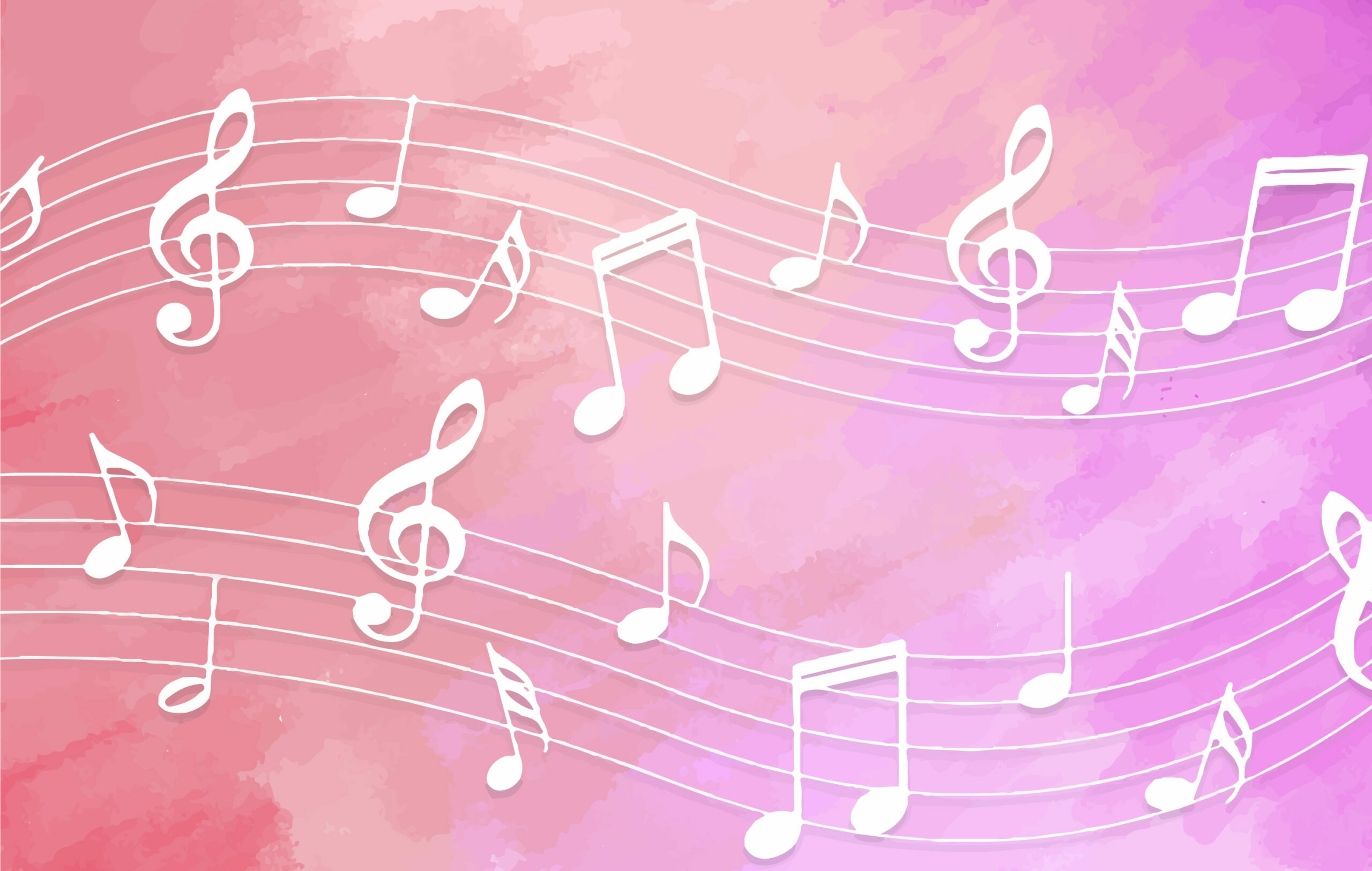Concert rose